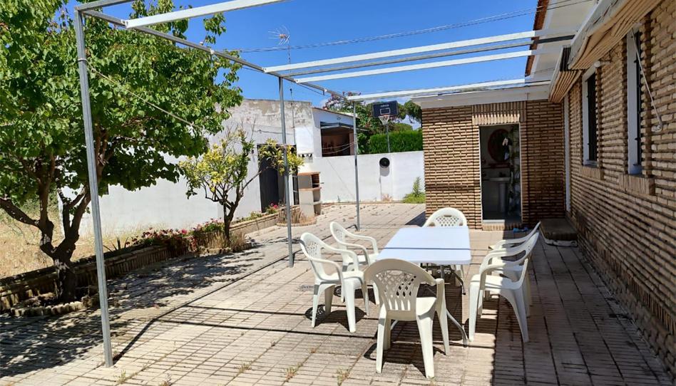 Photo 1 of House or chalet to rent in Urbanizacion el Picacho, 63, Mazagón, Huelva