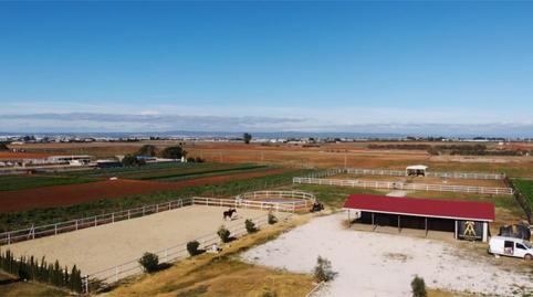 Foto 2 de Finca rústica en venda a Rinconada, La Rinconada