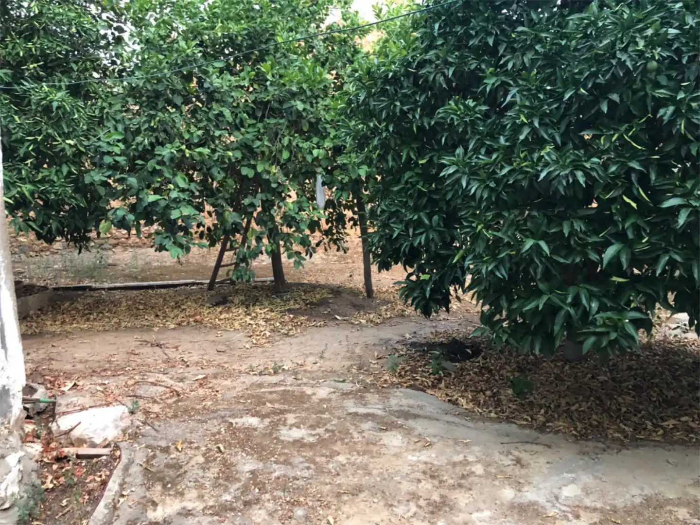 Finca rústica en venta en Calle Meléndez Valdés, 7, Hornachos Finca rústica en venta en Hornachos con Aire acondicionado, Calefacción y Jardín privado