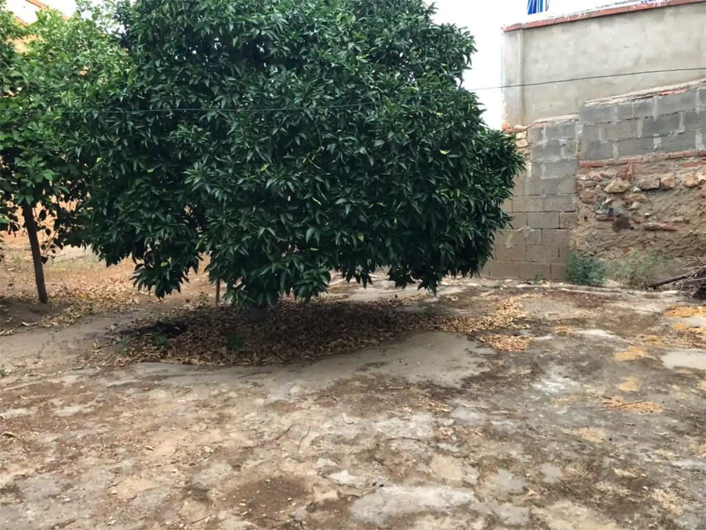 Finca rústica en venta en Calle Meléndez Valdés, 7, Hornachos Finca rústica en venta en Hornachos con Aire acondicionado, Calefacción y Jardín privado