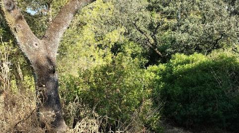 Foto 2 de Residencial en venta en Calle Teide, 92, Guillena pueblo, Guillena