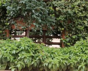 Jardí de Pis de lloguer en Salamanca Capital amb Terrassa i Piscina