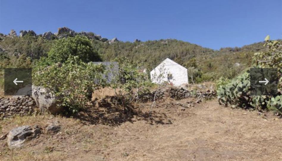 Finca rústica en venda a Carretera de Betis, 40, Facinas, Cádiz - imatge 1 Foto 1 de Finca rústica en venda a Carretera de Betis, 40, Facinas, Cádiz