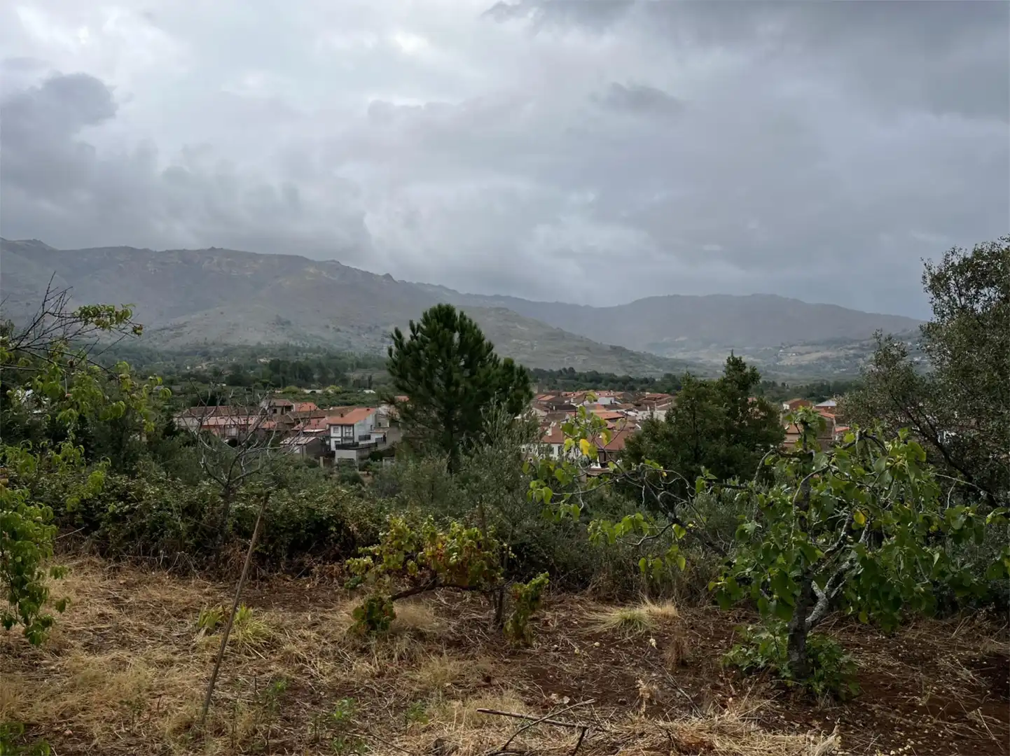 Grundstücke zum Verkauf in Valverde del Fresno