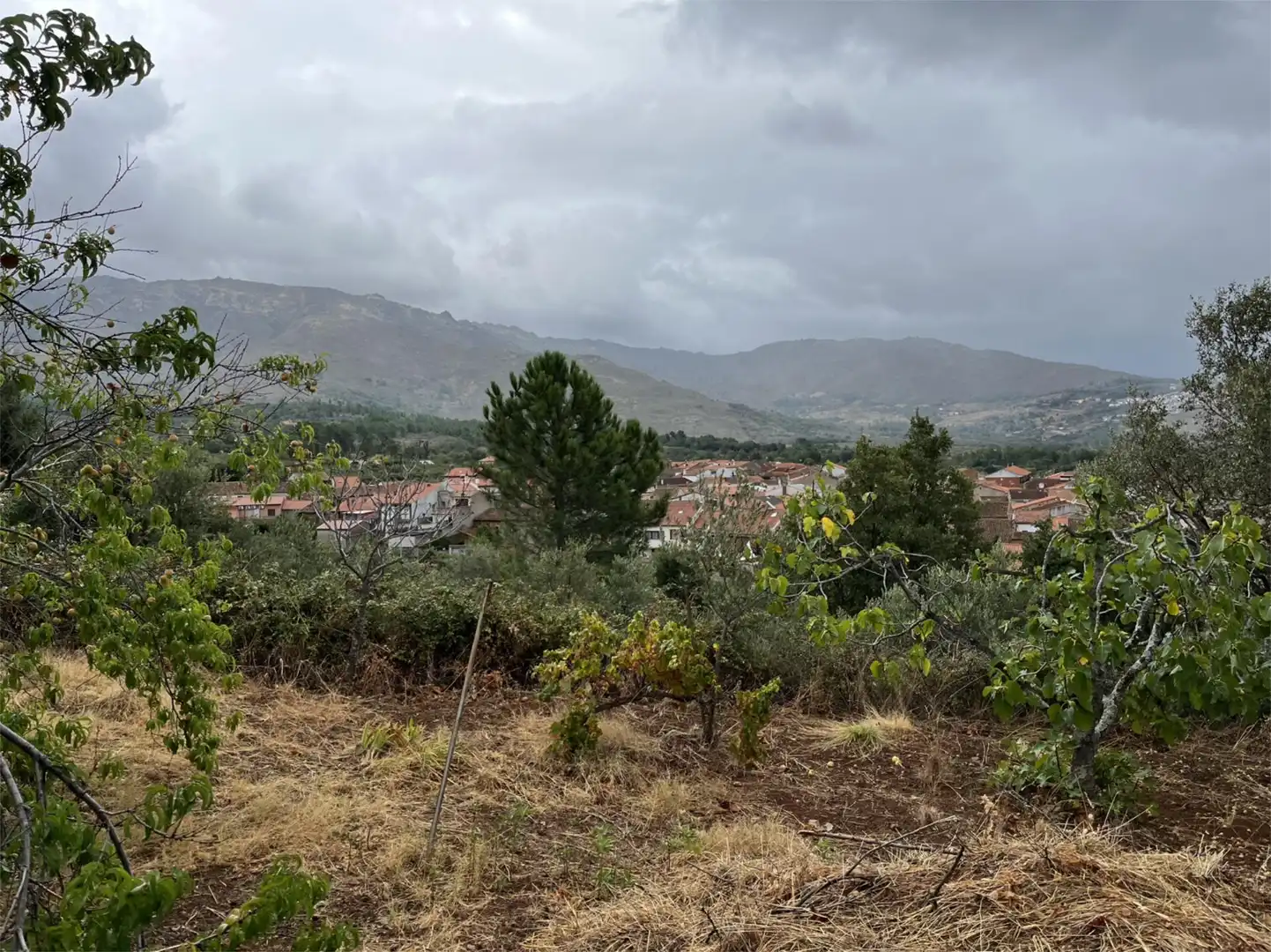 Grundstücke zum Verkauf in Valverde del Fresno