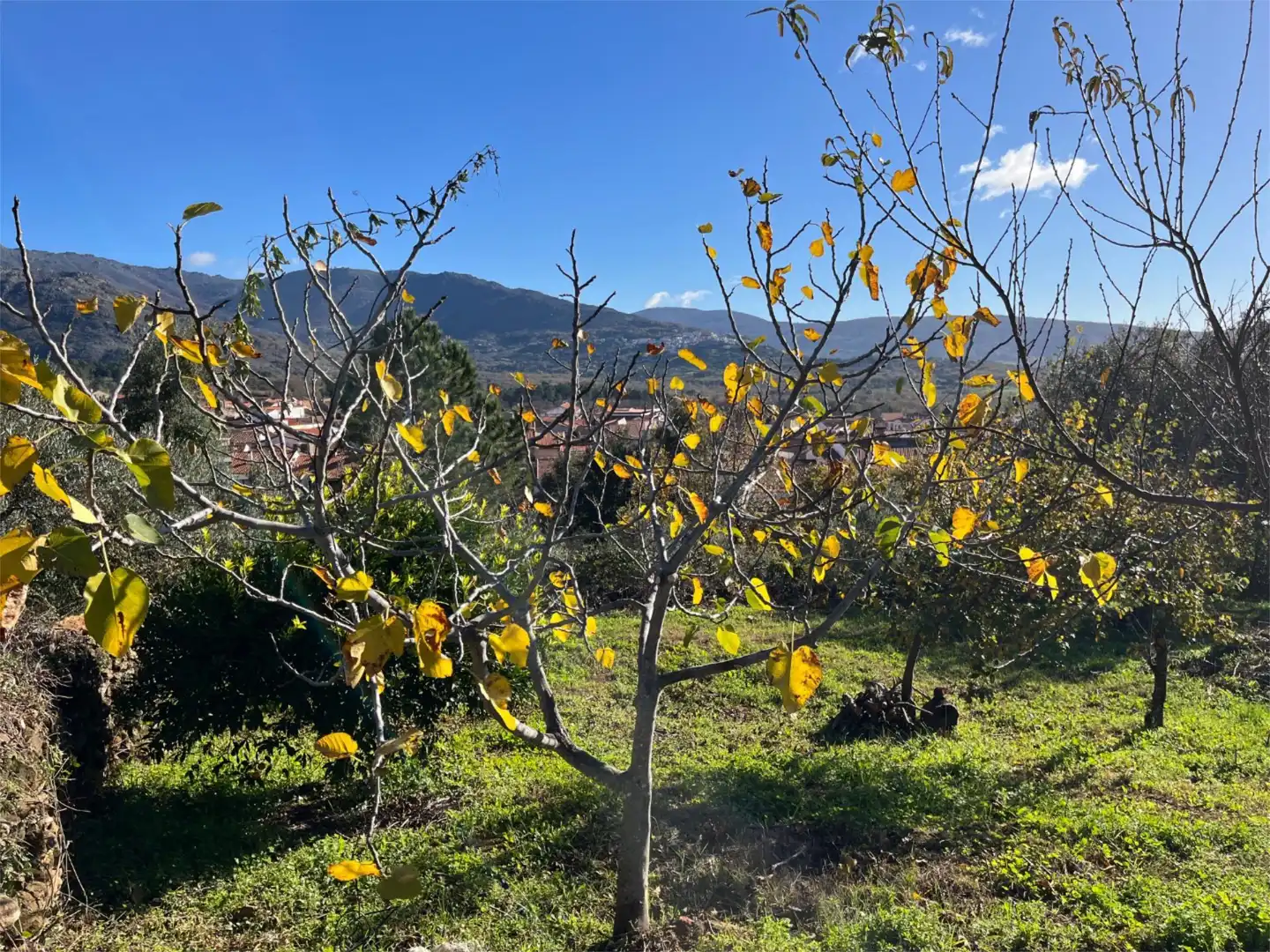 Außenansicht von Grundstücke zum Verkauf in Valverde del Fresno