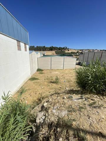 Terreno en Venta en Calle la Yedra, 29 en Rus