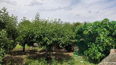 Photo 4 of House or chalet for sale in Calle Peña, 13, Pereruela, Zamora