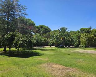 Jardí de Residencial en venda en Boadilla del Monte