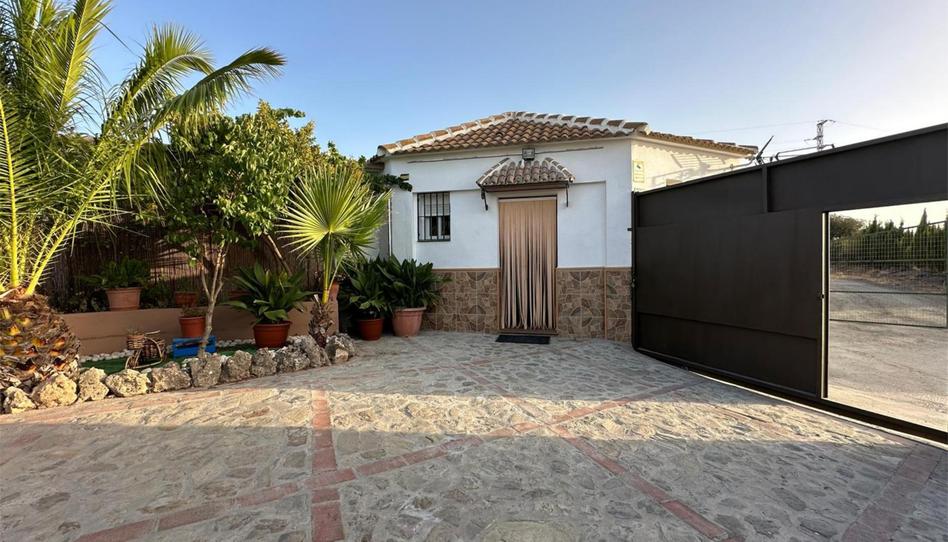 Casa o chalet de alquiler en Calle Acera del Sol, 17, Colmenar, Málaga - imagen 1 Foto 1 de Casa o chalet de alquiler en Calle Acera del Sol, 17, Colmenar, Málaga