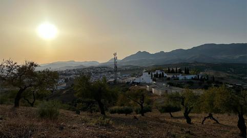 Casa o chalet de alquiler en Calle Acera del Sol, 17, Colmenar, Málaga - imagen 5 Foto 5 de Casa o chalet de alquiler en Calle Acera del Sol, 17, Colmenar, Málaga