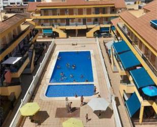 Swimming pool of House or chalet for sale in Torrevieja  with Terrace and Swimming Pool