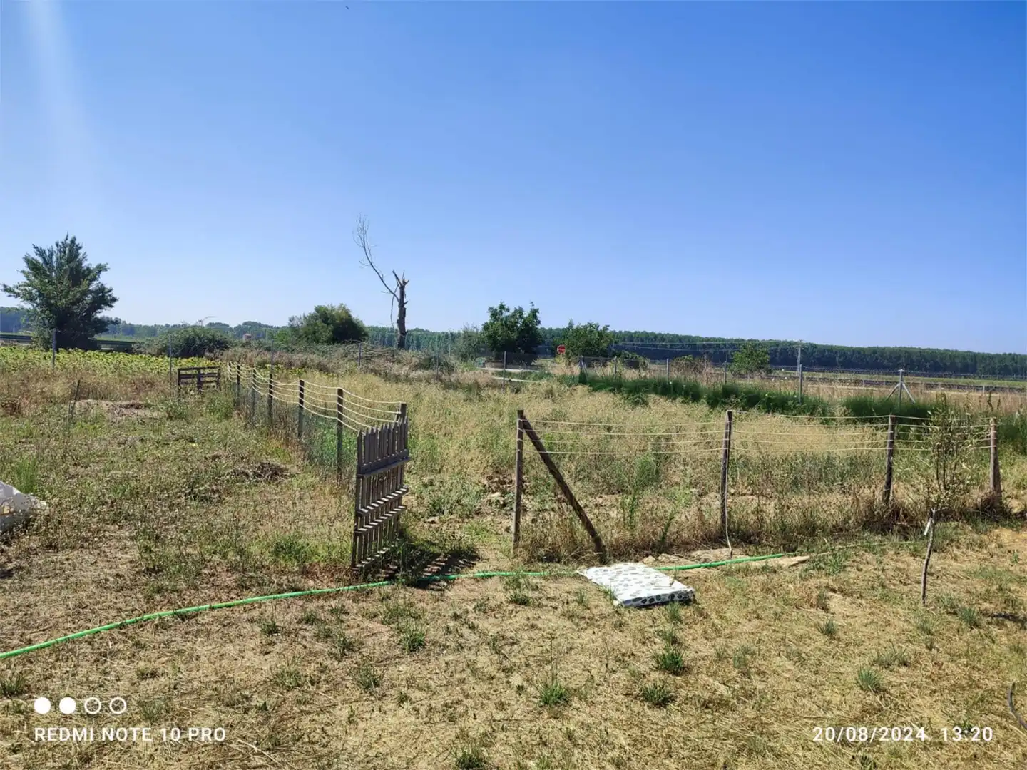 Finca rústica en venta en Valencia de Don Juan