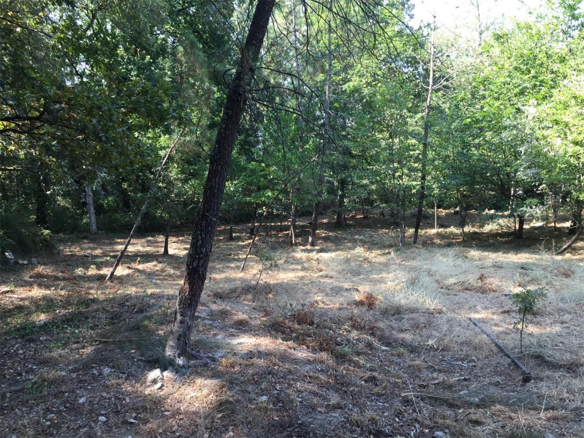 Industrial land for sale in Entrimo