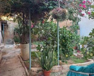 Garden of House or chalet for sale in  Palma de Mallorca