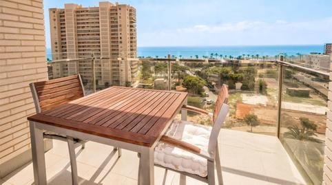 Flat to rent in Deportista Javier Cabanas, 9, PAU 5, Alicante - image 3 Photo 3 of Flat to rent in Deportista Javier Cabanas, 9, PAU 5, Alicante