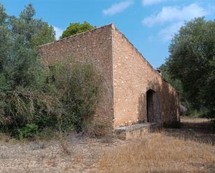 Vista exterior de Finca rústica en venda en Tortosa