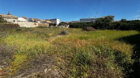 Photo 2 of Constructible Land for sale in Calle Nueva, 42, Alosno pueblo, Huelva