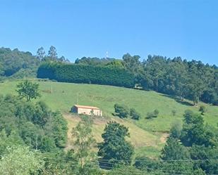 Vista exterior de Finca rústica en venda en Villafufre