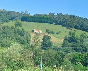 Vista exterior de Finca rústica en venda en Villafufre