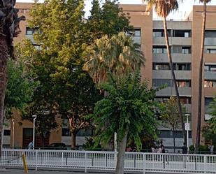 Vista exterior de Pis en venda en Gandia amb Aire condicionat i Balcó