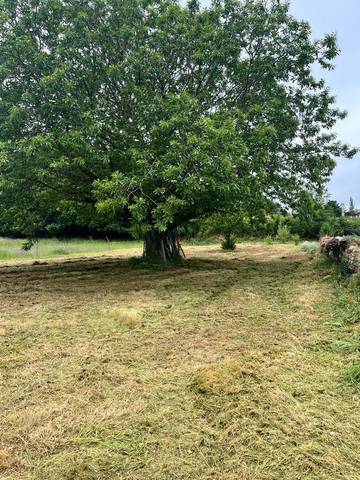 Casa-chalet en Venta en Rúa Pontegaos, 94 en Parroquias del Oeste