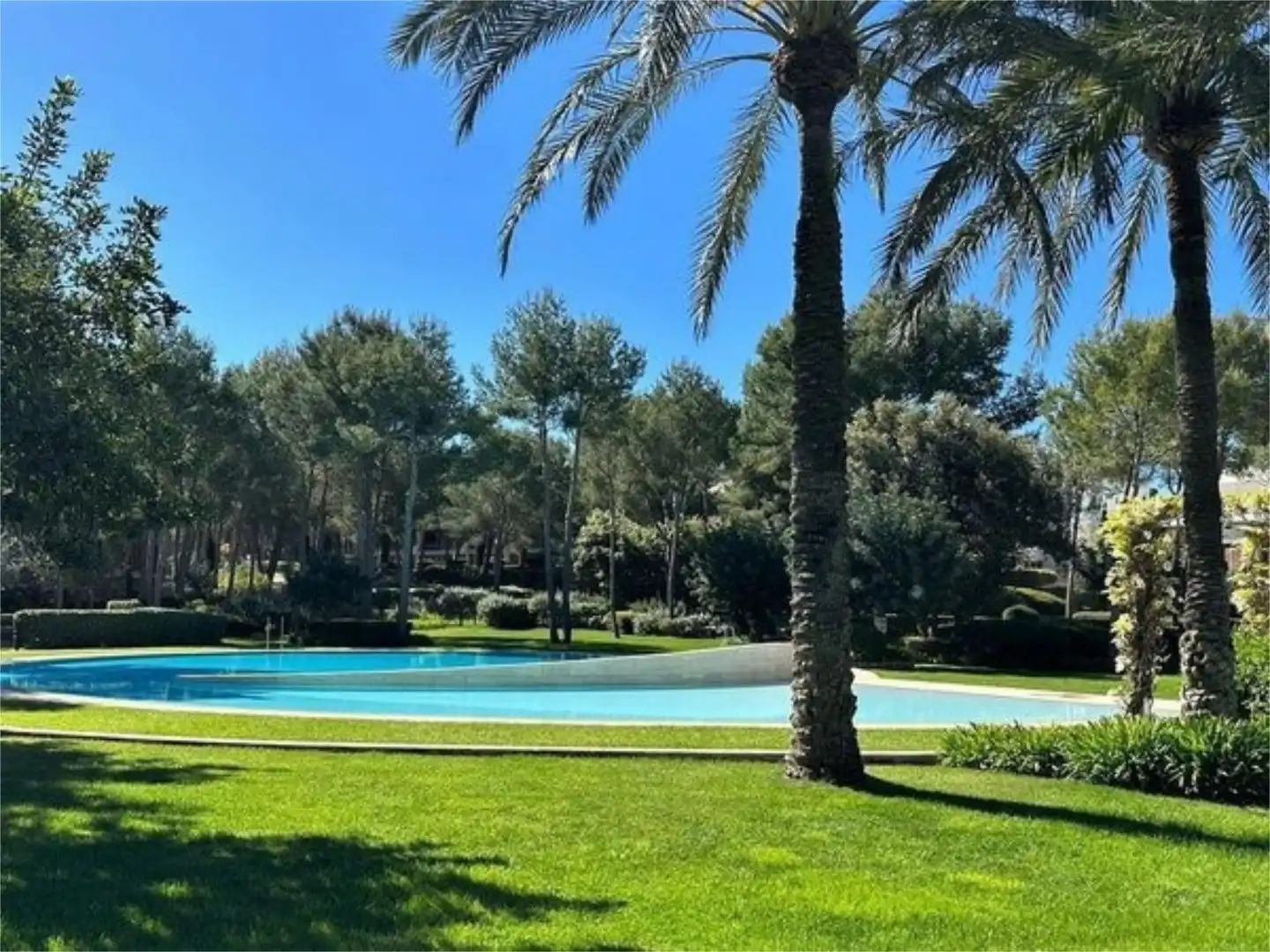 Swimming pool of Flat for rent in Calvià  with Air Conditioner, Heating and Terrace