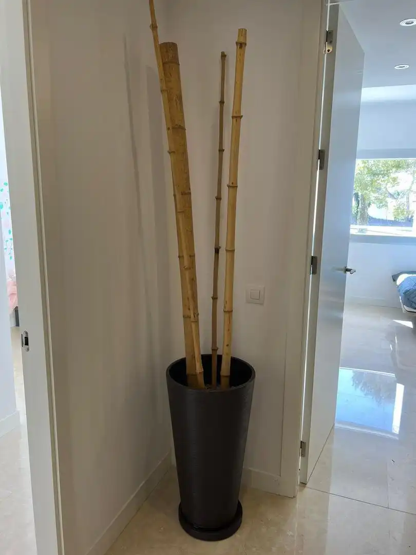 Exterior view of Flat for rent in Calvià  with Air Conditioner, Heating and Terrace