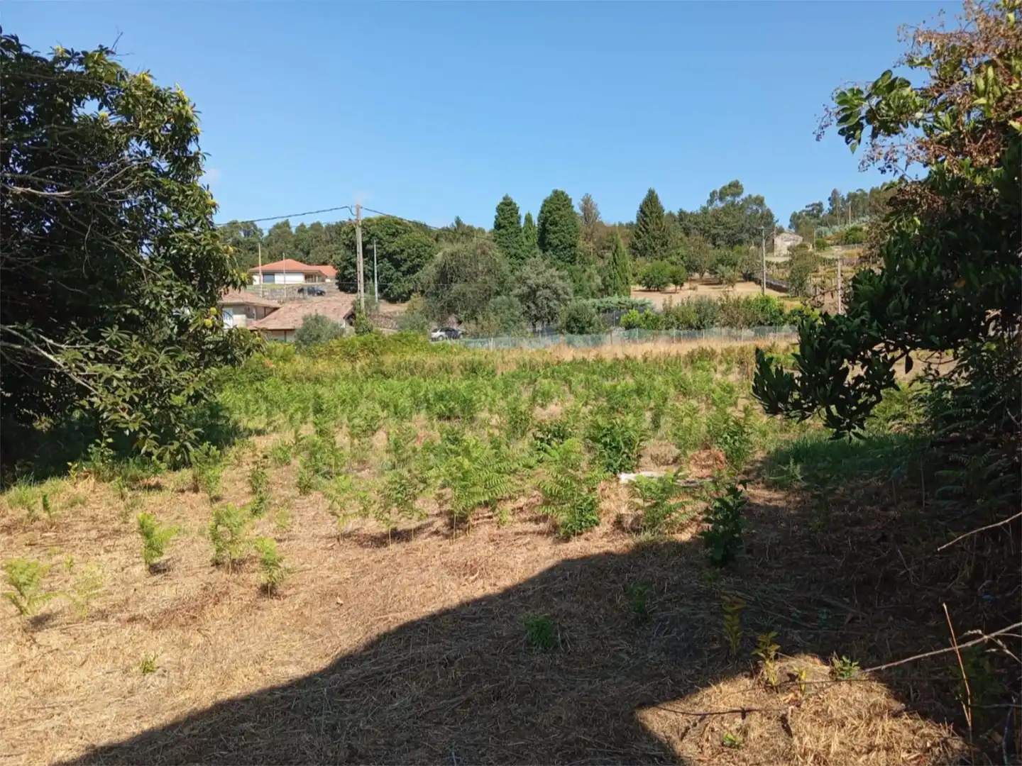 Country homes for sale in Lugar Rial Darriba, 13, Fornelos de Montes Country homes for sale in Fornelos de Montes