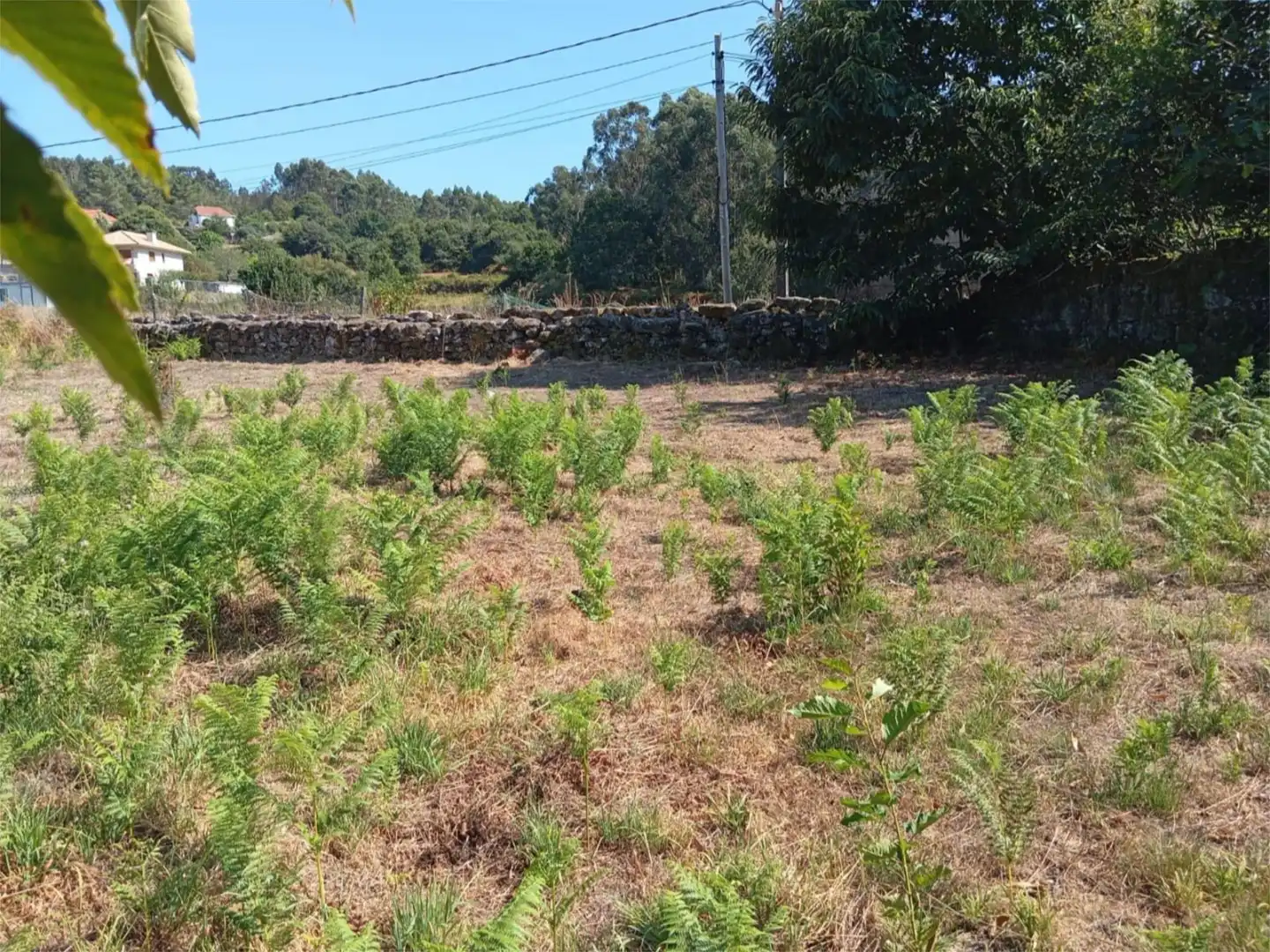 Country homes for sale in Lugar Rial Darriba, 13, Fornelos de Montes Country homes for sale in Fornelos de Montes