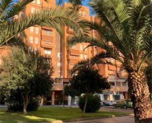 Flat to rent in  Sevilla Capital