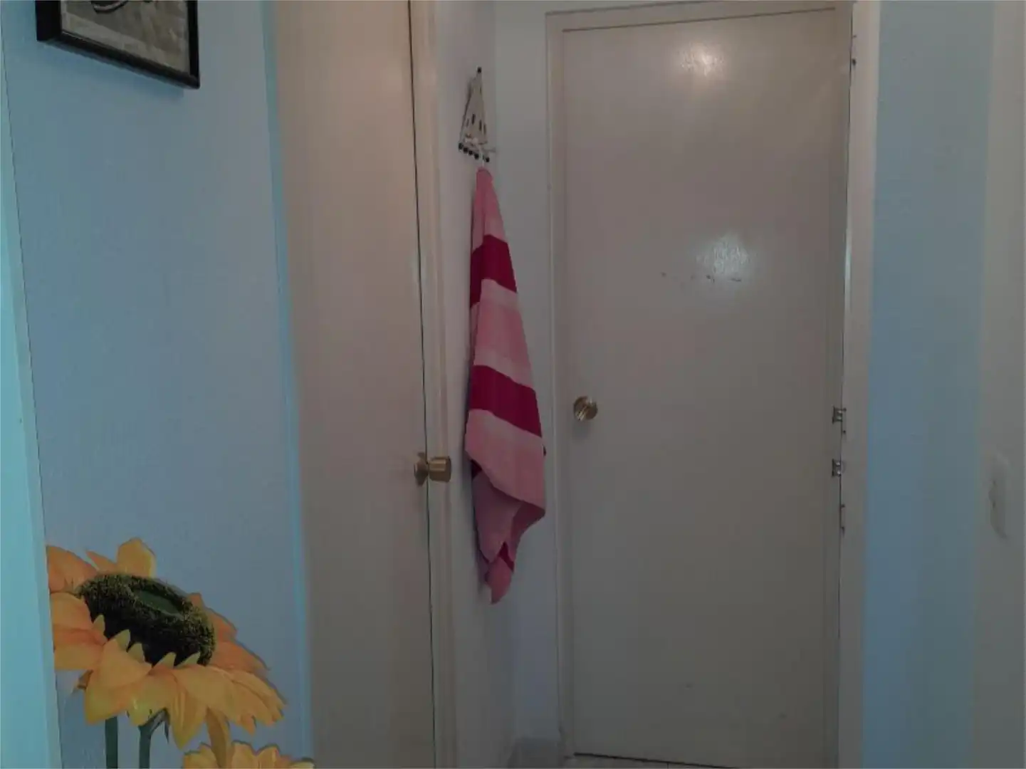 Wohnung zur Miete in Plaça Mediterrània, 4, Grau de Gandia - Venecia - Marenys de Rafalcaid