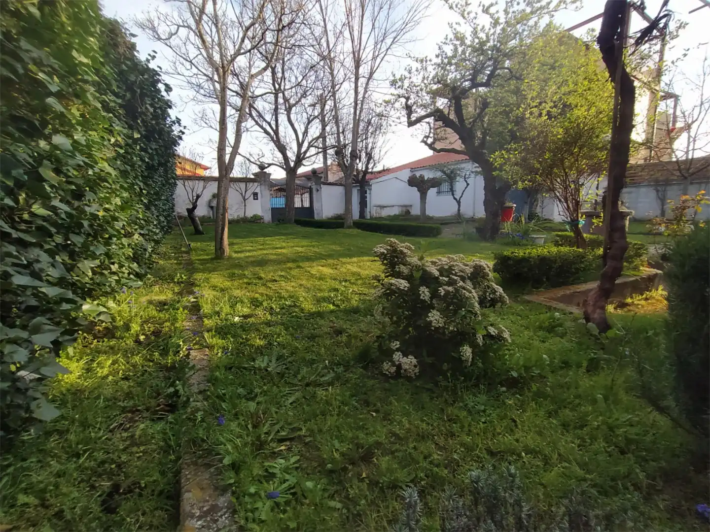 Casa o chalet en venta en Sa-213, 37, Alba de Yeltes Jardín de Casa o chalet en venta en Alba de Yeltes con Terraza
