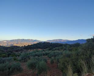 Vista exterior de Finca rústica en venda en Alozaina