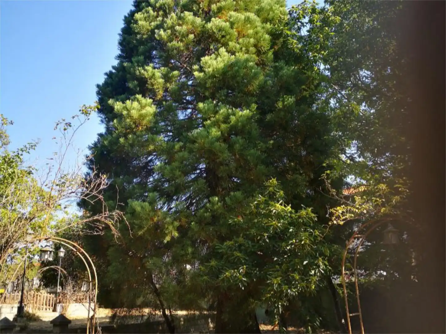 Urbanizable en venta en Calle Peñalcon, 2, Navaluenga Jardín de Urbanizable en venta en Navaluenga
