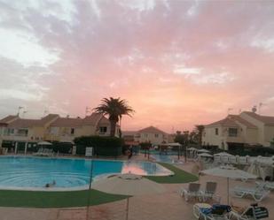 Swimming pool of Apartment to rent in San Bartolomé de Tirajana  with Terrace and Swimming Pool