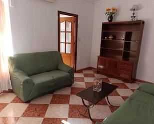 Living room of Flat to rent in Peñarroya-Pueblonuevo  with Terrace