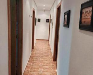 Flat to rent in  Murcia Capital  with Terrace