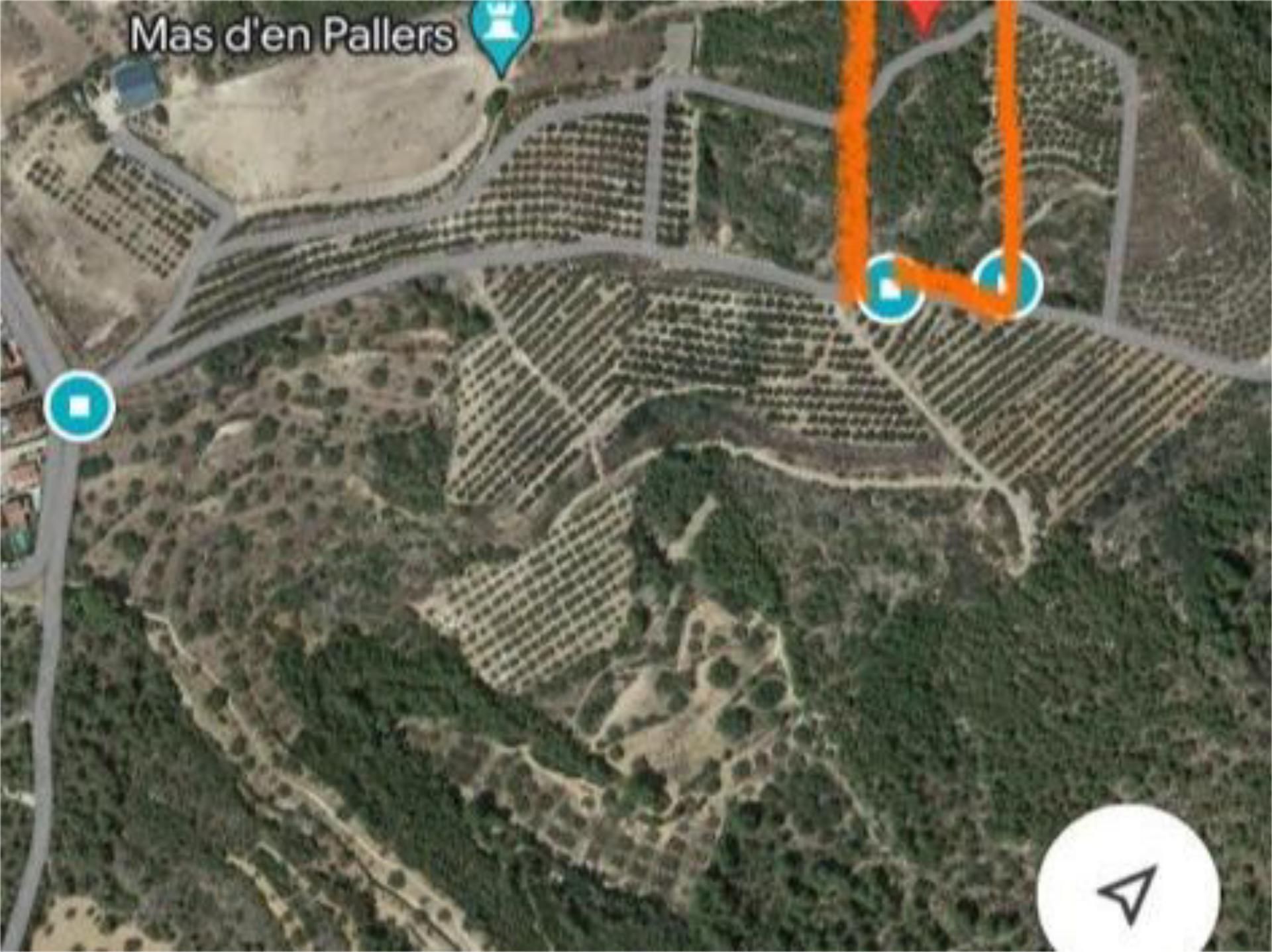 Non-constructible Land for sale in El Catllar 