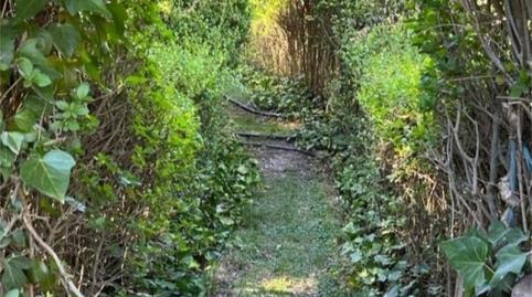 Foto 3 de Finca rústica en venda a Calle Campoy, 15, La Peza, Granada