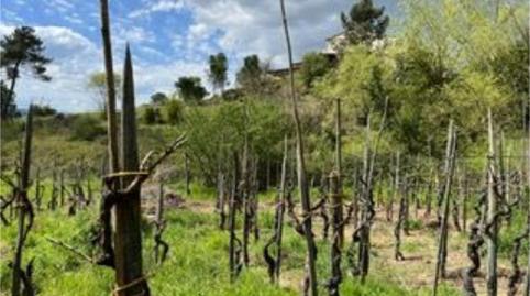 Foto 3 de Casa o xalet en venda a Zain de Arriba, 8, Barrocanes, Ourense