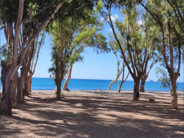 Piso en Alquiler en Calle Bolivia, 40 en Pedregalejo - Morlaco