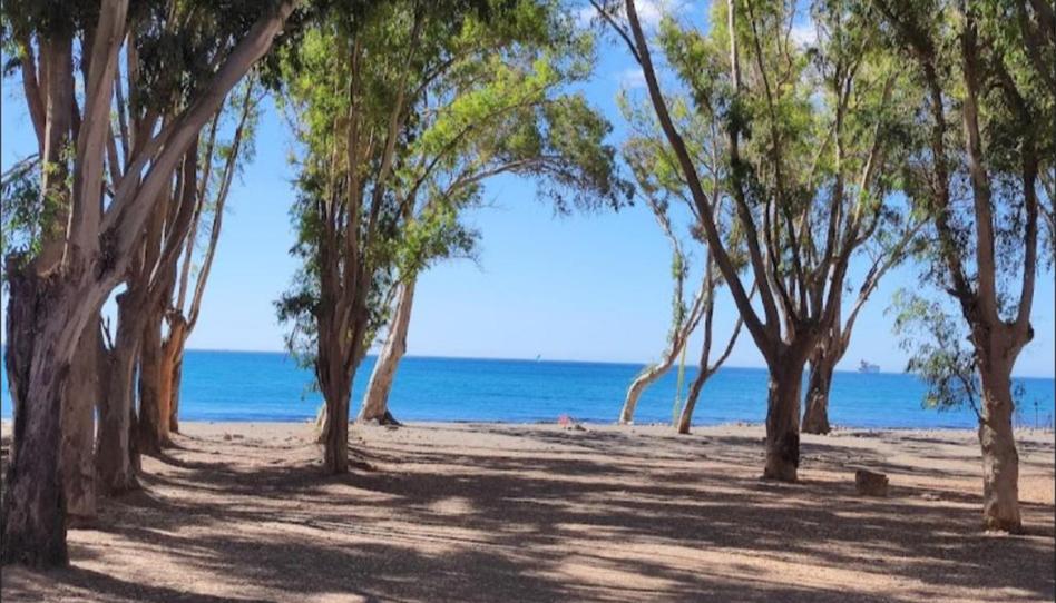 Photo 1 of Flat to rent in Calle Bolivia, 40, Pedregalejo - Morlaco, Málaga