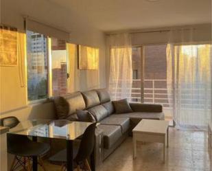 Living room of Apartment to rent in Benidorm  with Terrace and Swimming Pool