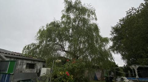 Flat for sale in Praza España, 1, Curtis, A Coruña - image 4 Photo 4 of Flat for sale in Praza España, 1, Curtis, A Coruña