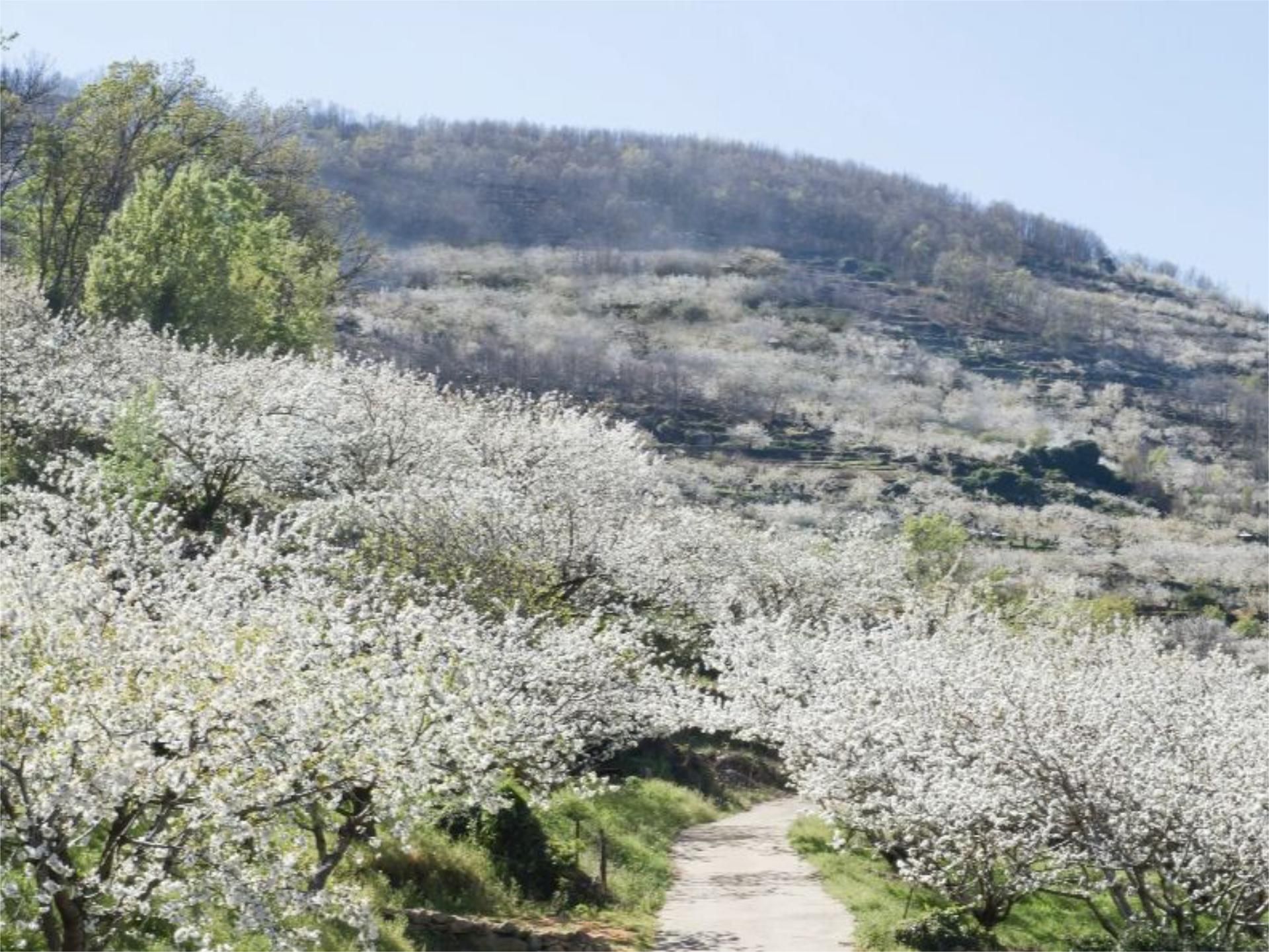 Vista exterior de Pis en venda en Cabezuela del Valle amb Calefacció, Terrassa i Moblat