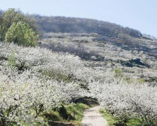 Vista exterior de Pis en venda en Cabezuela del Valle amb Terrassa i Balcó