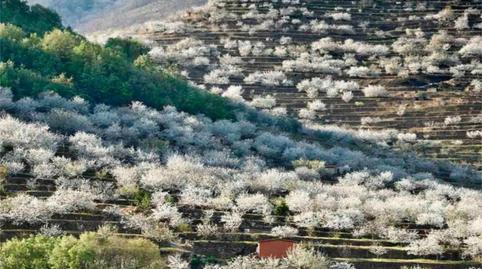 Photo 5 of Flat for sale in N-110, 20, Cabezuela del Valle, Cáceres
