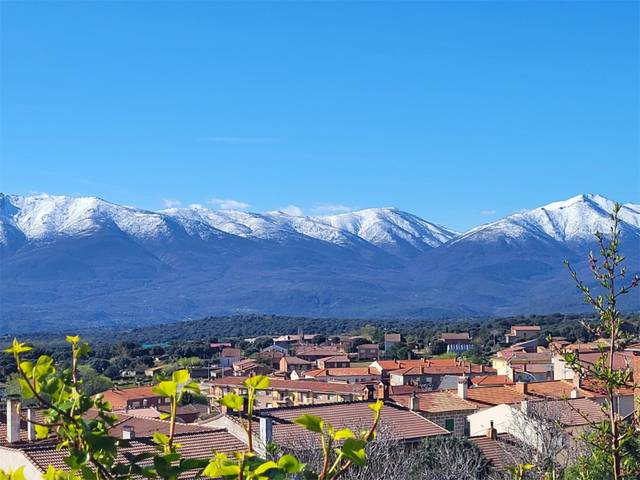 Planta baja en Venta en Bajada de los Berrocales, 2 en Navalmoral