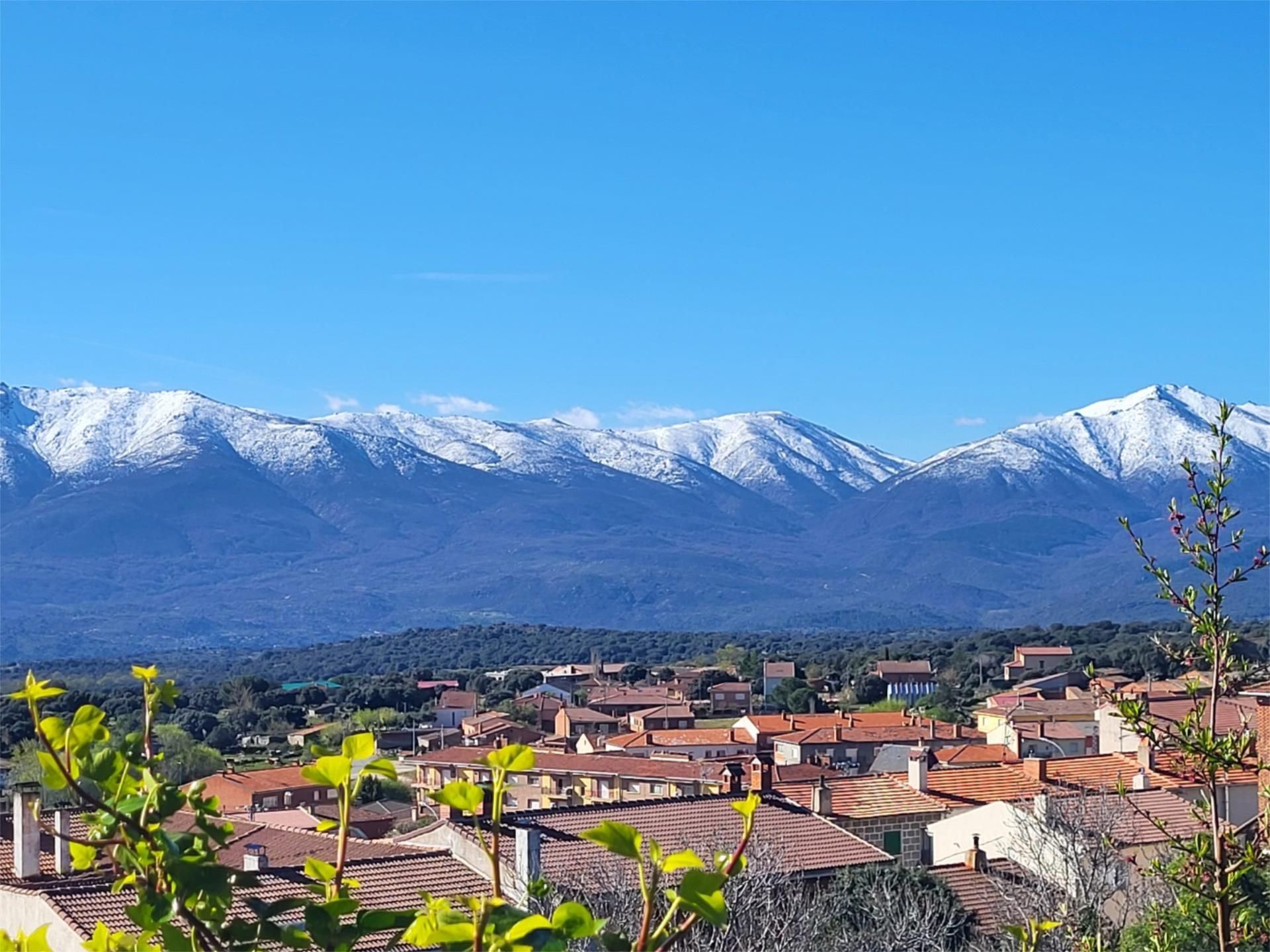 Vista exterior de Planta baixa en venda en Navalmoral amb Calefacció, Jardí privat i Terrassa